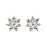 Floral Cubic Zircon 925 Sterling Silver Stud Earring