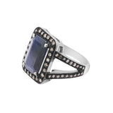 Natural Blue Sapphire Gemstone and Diamond 925 Sterling Silver Ring