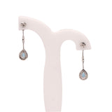 Blue Sapphire & CZ Stone Earring