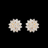 18K Yellow Gold Diamond Earring