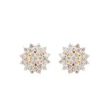 18K Yellow Gold Diamond Earring