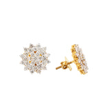 18K Yellow Gold Diamond Earring